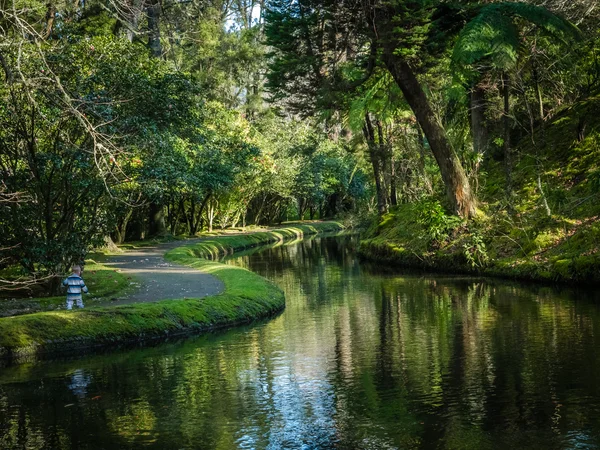 Terra-Nostra-Garten — Stockfoto