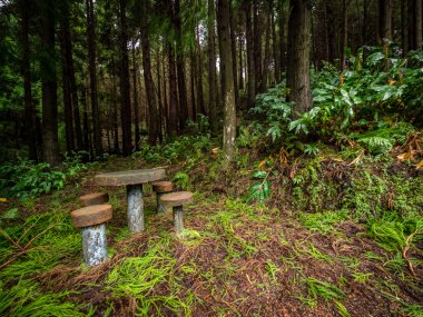 Küçük piknik masası