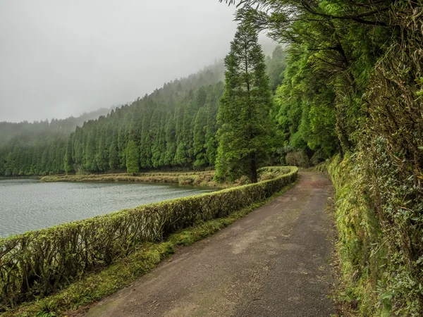 Vulkanikus eredetű tava a Sao Miguel — Stock Fotó