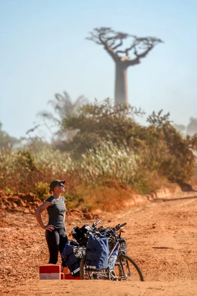 Bisikletçi ve baobabs — Stok fotoğraf