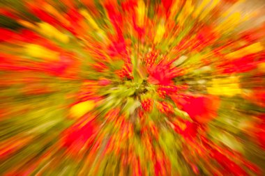 Renkli çiçek soyut