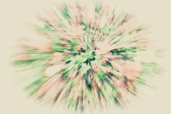 Bunte Blumen abstrakt — Stockfoto
