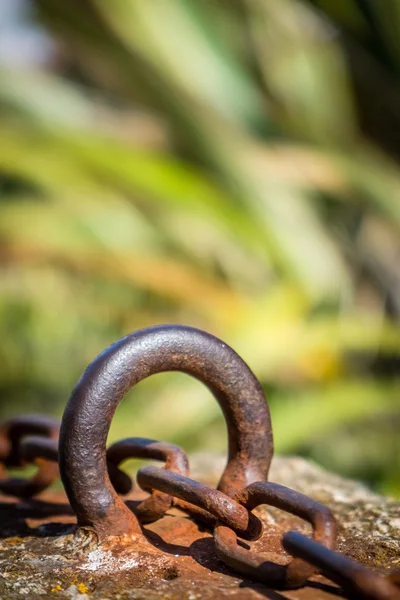 Chain link detail — Stock Photo, Image