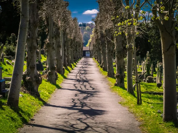 Gångvägen i en kyrkogård — Stockfoto