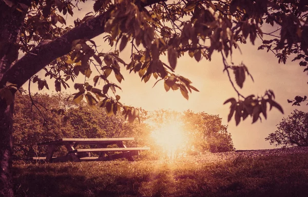 Tom bänk i en park — Stockfoto