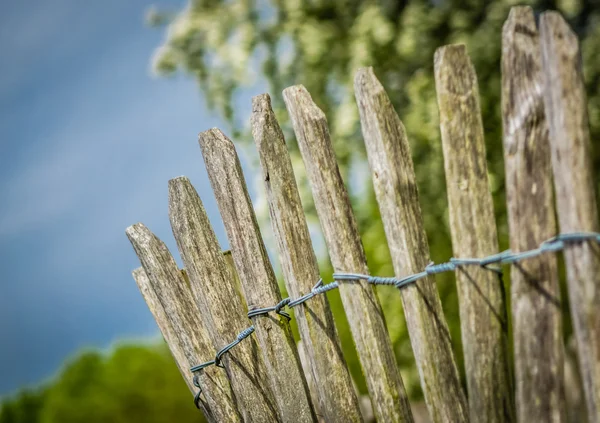 Wooden fence detail — Stock Photo, Image