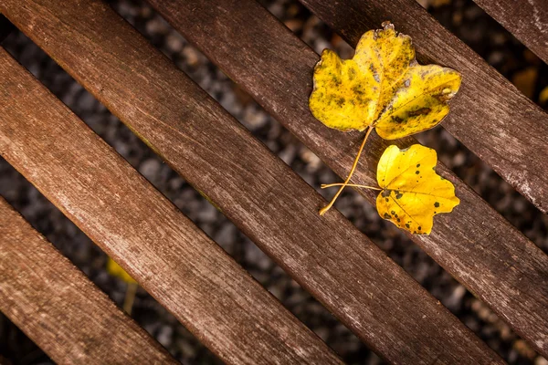 Folhas de outono em uma mesa de madeira — Fotografia de Stock