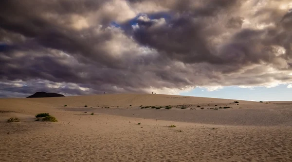 Dunes nationalpark — Stockfoto