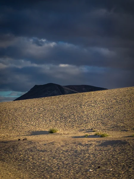 Parque Nacional das Dunas — Fotografia de Stock