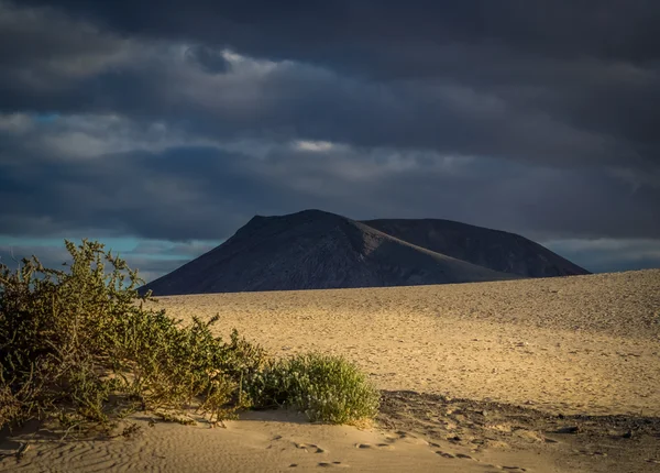 Dunes National Park — Stock Photo, Image