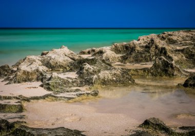 Fuerteventura kayalık sahil