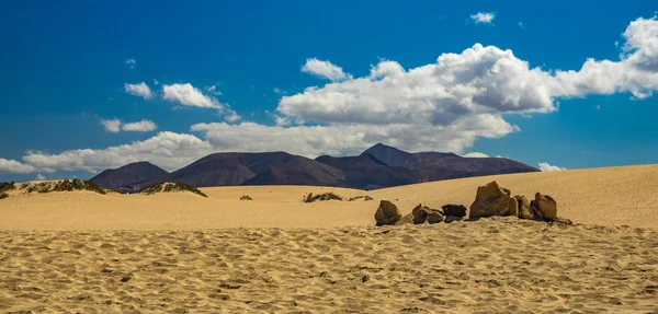 Parc national des Dunes de Corralejo — Photo