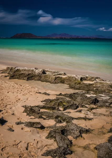 Costa rocosa de Fuerteventura — Foto de Stock