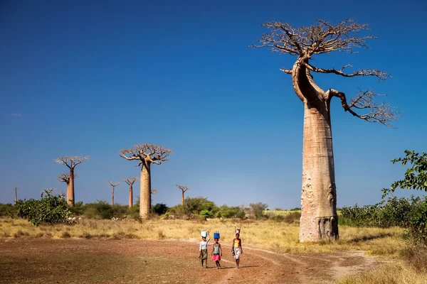 Su taşıyan Malagasy kadınlar — Stok fotoğraf