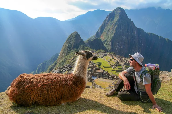 Tourist and llama in Machu Picchu — Stock Photo, Image