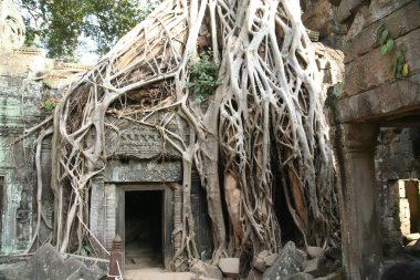 Angkor Wat Tapınağı girişinde