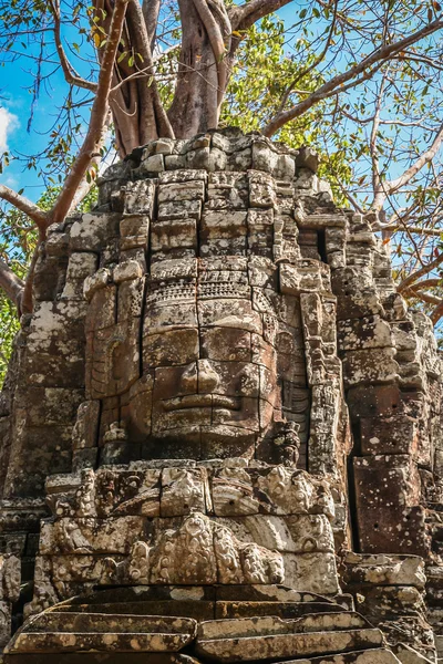 Cara de piedra enorme — Foto de Stock