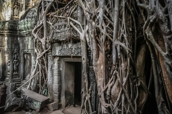 Ingresso al tempio di Angkor Wat — Foto Stock