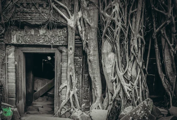 Ingresso al tempio di Angkor Wat — Foto Stock