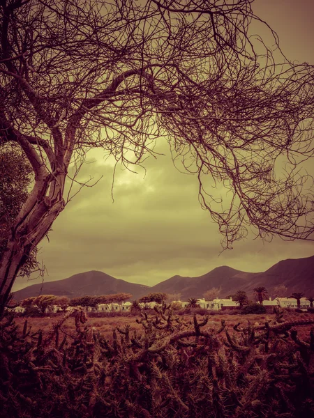 Landscape of Lanzarote — Stock Photo, Image