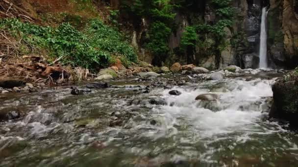 Prachtige waterval op de Azoren — Stockvideo