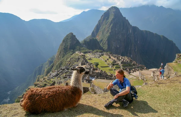 Tourist and llama in Machu Picchu — Stock Photo, Image