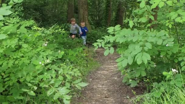 Niños corriendo en el bosque — Vídeo de stock