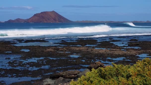 Pobřeží Fuerteventura ve městě Corralejo — Stock video