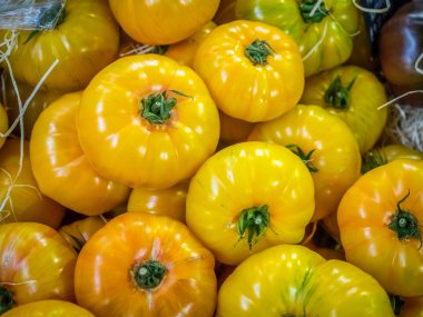 Taze sarı olgun domates 