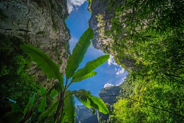 Çin Deki Wulong Ulusal Parkı Nın Doğal Kayalık Karst Arazisi Telifsiz Stok Fotoğraflar