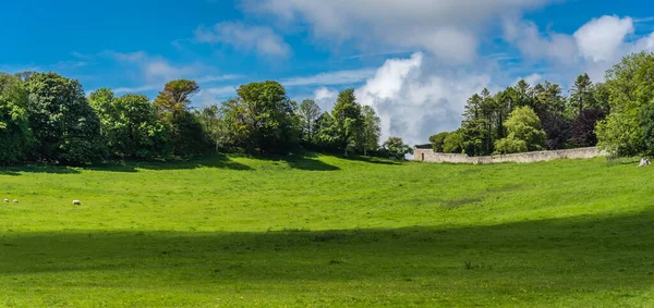 Vacker Utsikt Över Ett Lantligt Landskap Wales — Stockfoto
