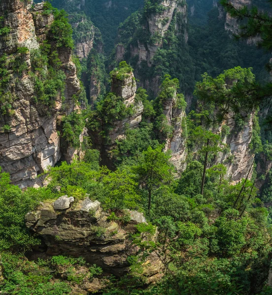 Vertikal Karst Pelare Klippformationer Sett Utifrån Den Förtrollade Terrass Synvinkel — Stockfoto