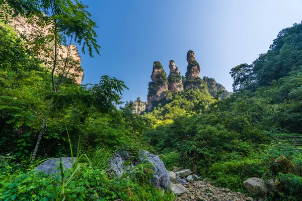 Het Verzamelen Van Hemelse Soldaten Schilderachtige Rotsformaties Avatar Bergen Natuurpark — Stockfoto