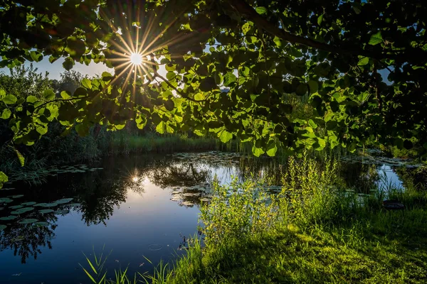 Nap Ragyog Kis Egy Nyugodt Napon Nyáron Idilli Helyen Pihenés — Stock Fotó