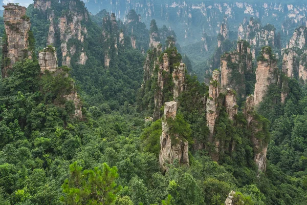 Zhangjiajie Ulusal Parkı Ndaki Tianzi Dağlarının Taş Sütunlarının Panoramik Manzarası Telifsiz Stok Imajlar