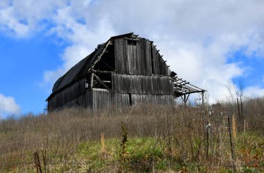 Kırsal, ahşap ahır Kuzey Carolina 'da bir tepenin üstünde duruyor. Yıpranmış ve solmuş. Yabani otlar etrafını sarmış.