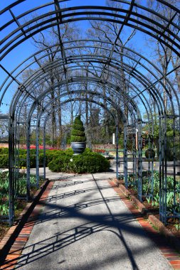 Kemerli, metal tünel Dixon Galerisi ve Bahçeleri 'nin önüne çıkıyor. Laleler arka planda çiçek açıyor..