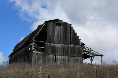 Kırsal, yıpranmış ahır Kuzey Carolina 'da bir tepenin üstünde duruyor. Ahşap ve bakımsız..