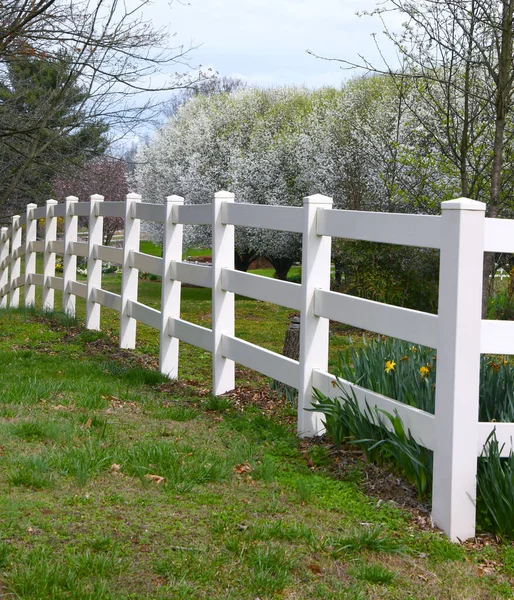 Beyaz çitlerin etrafında bahar çiçek açar. Beyaz çiçekler ağaçları doldurur ve nergisler çiçek açmaya başlar..