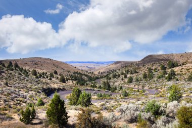 Antilop ve Shaniko, Oregon 'un hayalet kasabaları arasındaki 218. Otoyol, kıç ve tepelerin üzerindeki kıvrımlar ve kıvrımlar..
