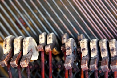 Piyanonun ön kısmı kayıp ve çekiçler yıllardır bu elementlere maruz kalmış. Çekiçler karışık pozisyonlarda donar..