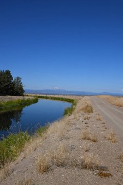 Oregon 'daki mavi gökyüzünü yansıtan sulama kanalının yanında toprak yol akıyor. Arka planda Bekar Görünümü Bağla.