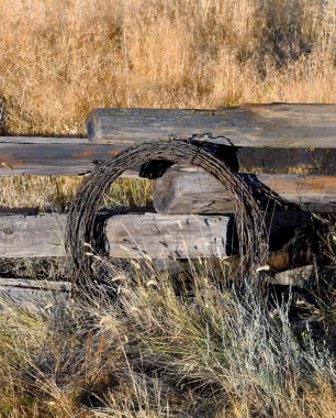 Paslı dikenli tel rulo kırsal, ahşap bir çite dayanıyor. Etrafını yabani otlar sarmış.