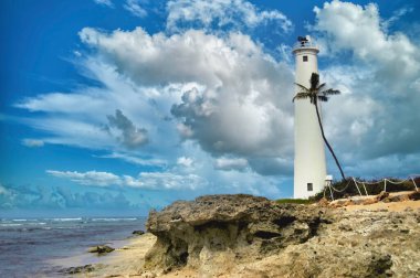 Barber 's Point Deniz Feneri Hawaii' deki Oahu Adası 'nda çıplak ve engebeli bir noktada duruyor. Yalnız bir palmiye ağacı okyanusa ve deniz fenerine doğru eğilir..