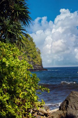Onomea Körfezi, Hawaii 'nin Büyük Adası' ndaki yemyeşil yapraklar tarafından çerçevelenmiştir. Mavi gökyüzü ve su suları güzel bir manzara yaratır..