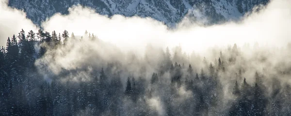 Foggy matin dans les montagnes — Photo