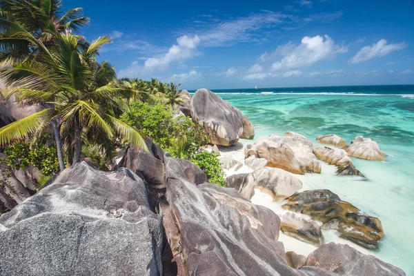 Bella spiaggia delle Seychelles — Foto Stock