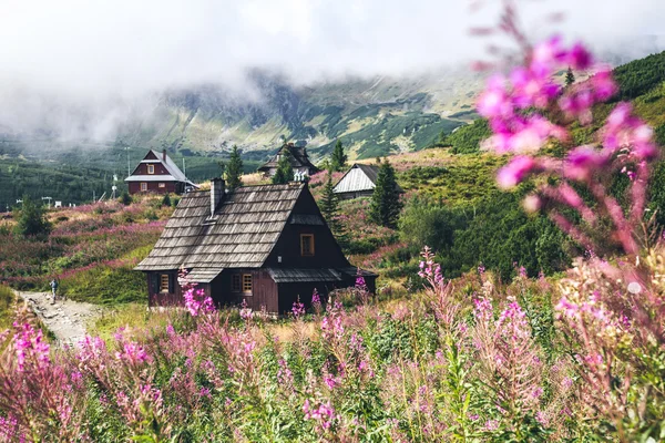 Old huts among the flowers — Stock Photo, Image