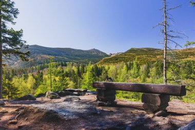 A log bench at the edge of a viewing platform in the forested mountains. Blue sky and green forest. A place to relax.