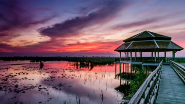 Günbatımı Tayland doğal park